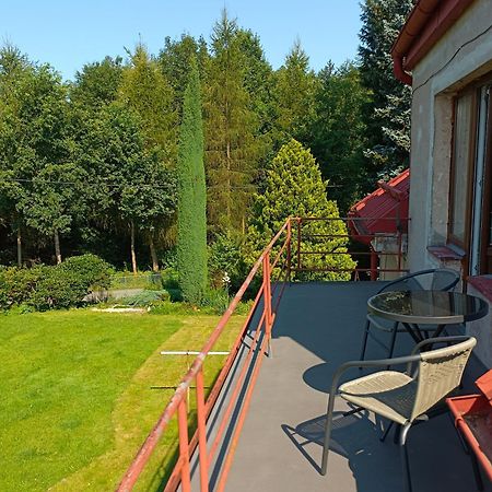 Apartman Za Lesem Červený Kostelec Dış mekan fotoğraf
