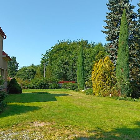 Apartman Za Lesem Červený Kostelec Dış mekan fotoğraf